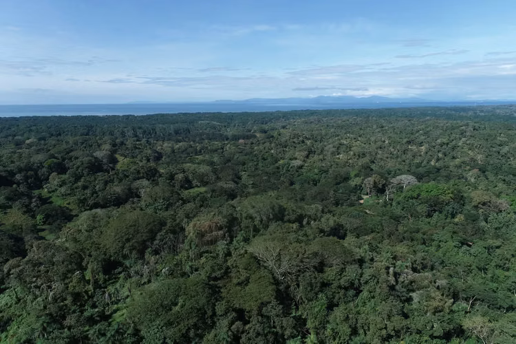 Exclusivo Terreno en Tarcoles: Vistas Panorámicas y Atardeceres Impresionantes - Imagen 2