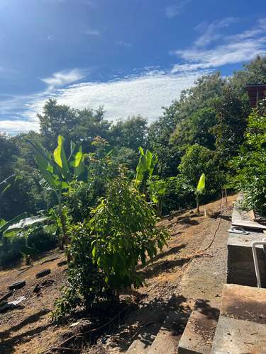 Propiedad en venta en Cuarros de Lagunillas, Garabito | 2.044 m² con 2 habitaciones - Imagen 12