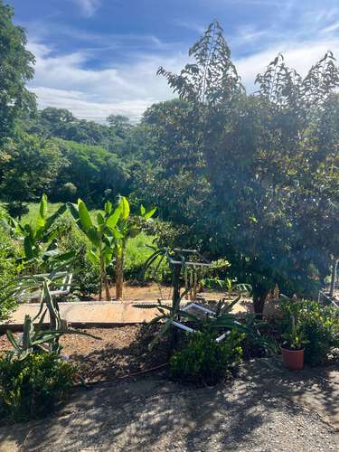 Propiedad en venta en Cuarros de Lagunillas, Garabito | 2.044 m² con 2 habitaciones - Imagen 4