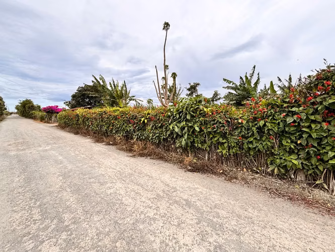 Se vende TERRENO para desarrollo INMOBILIARIO - Imagen 8