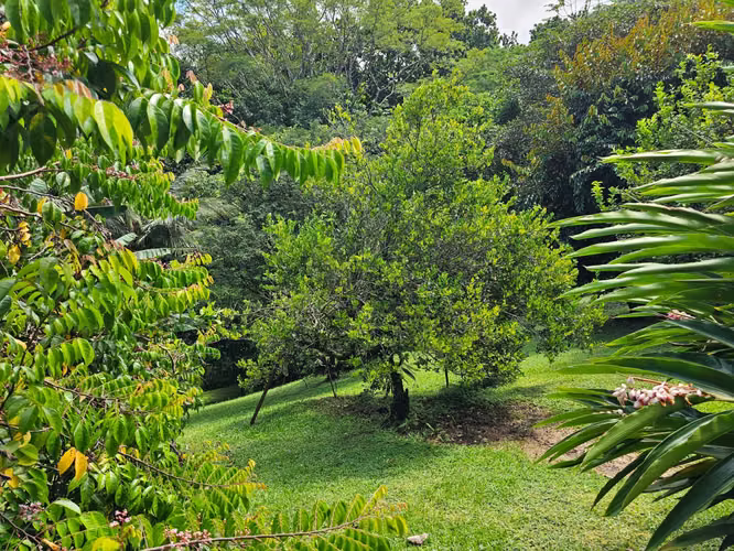 Quinta Premium Casa una planta con Piscina y BBQ, Esparza, Puntarenas - Imagen 18