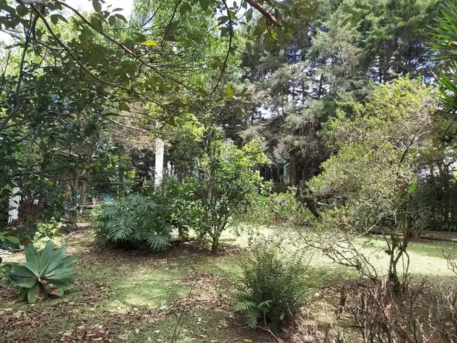 Venta de Terreno en San Pedro Montes de Oca, San José 14561 - Imagen 7