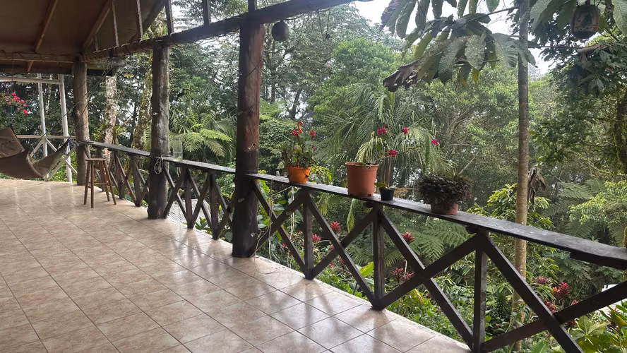 Un oasis en el bosque.  - Imagen 3