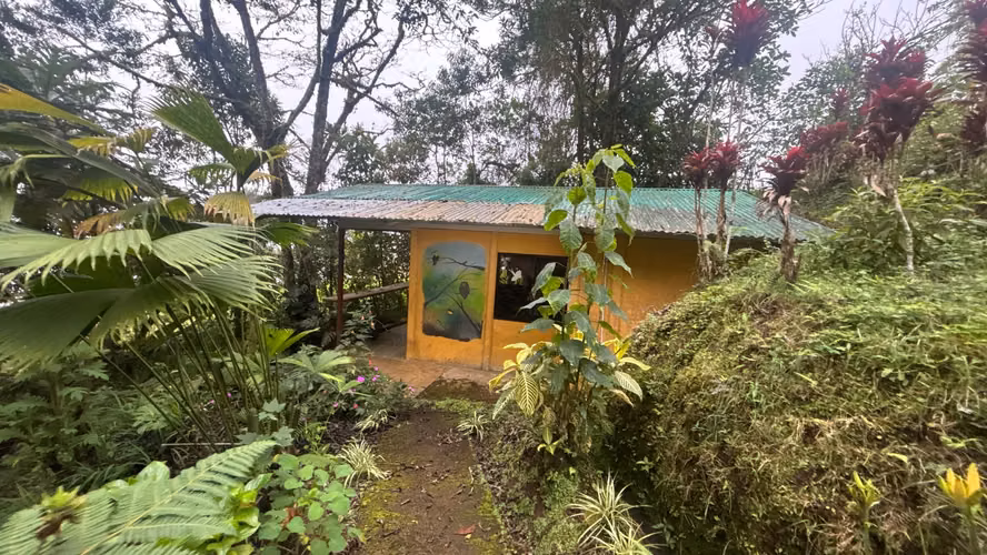 Un oasis en el bosque.  - Imagen 4