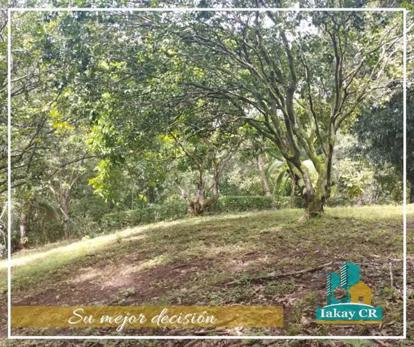 VENTA OPORTUNIDAD TERRENO RECTANGULAR ESPARZA - Imagen 6