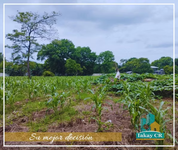 VENTA DE TERRENO NANCES ESPARZA PUNTARENAS - Imagen 7