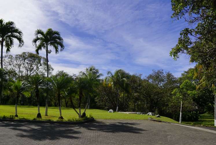 QUINTA RECIÉN RENOVADA DE 2.5 HECTÁREAS CON PISCINA Y CABALLERIZAS – CIRUELAS DE ALAJUELA