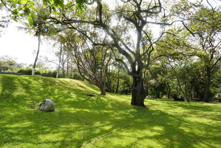 QUINTA RECIÉN RENOVADA DE 2.5 HECTÁREAS CON PISCINA Y CABALLERIZAS – CIRUELAS DE ALAJUELA