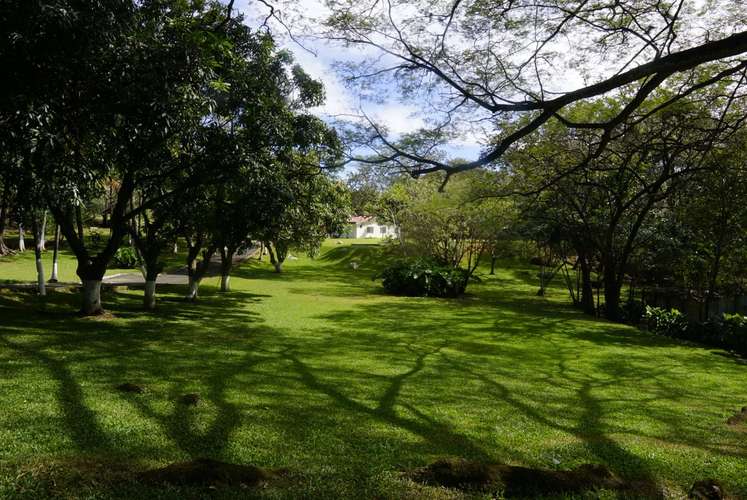 QUINTA RECIÉN RENOVADA DE 2.5 HECTÁREAS CON PISCINA Y CABALLERIZAS – CIRUELAS DE ALAJUELA