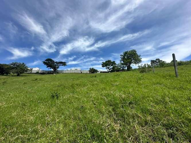 TERRENO EN VENTA IDEAL PARA DESARROLLO INMOBILIARIO – SANTO DOMINGO DE HEREDIA 14.394 - Imagen 5