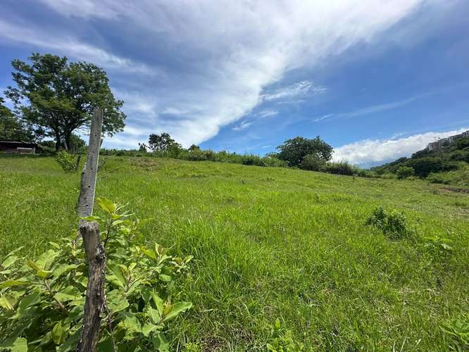 TERRENO EN VENTA IDEAL PARA DESARROLLO INMOBILIARIO – SANTO DOMINGO DE HEREDIA 14.394 - Imagen 3