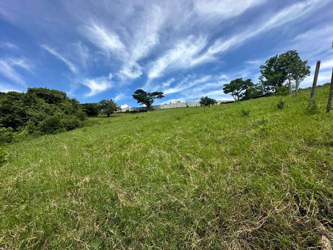 TERRENO EN VENTA IDEAL PARA DESARROLLO INMOBILIARIO – SANTO DOMINGO DE HEREDIA 14.394 - Imagen 2