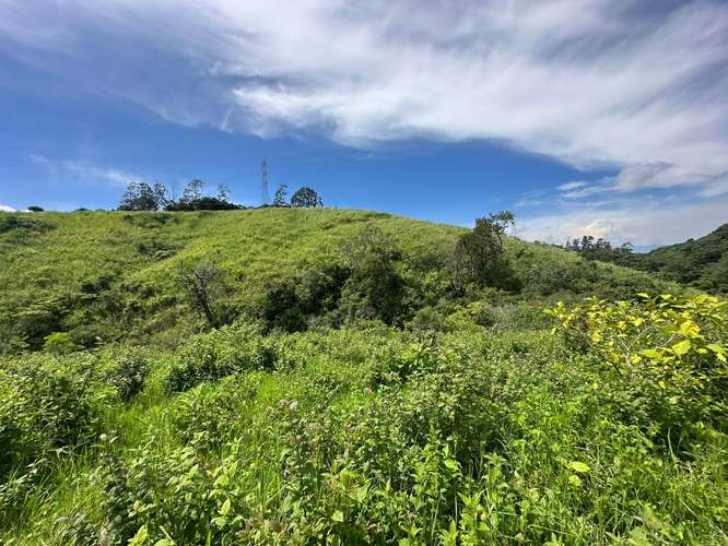 TERRENO EN VENTA IDEAL PARA DESARROLLO INMOBILIARIO – SANTO DOMINGO DE HEREDIA 14.394 - Imagen 12