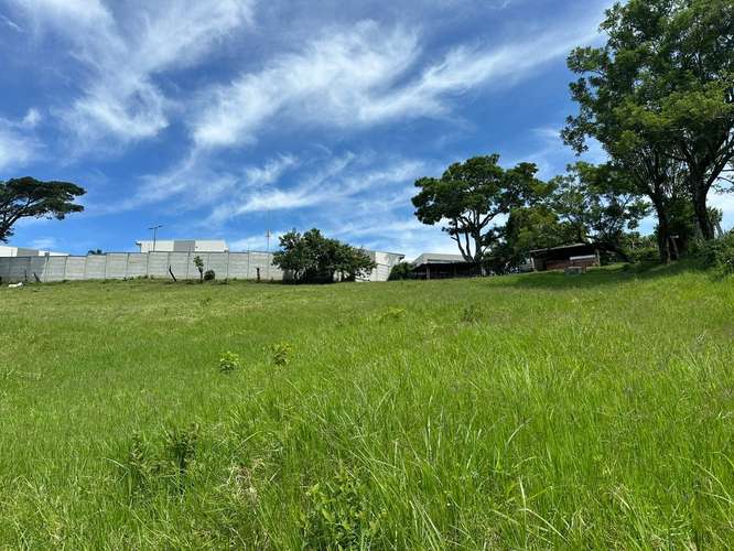 TERRENO EN VENTA IDEAL PARA DESARROLLO INMOBILIARIO – SANTO DOMINGO DE HEREDIA 14.394 - Imagen 17