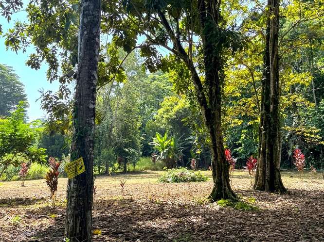 Se vende terreno de 3000 m² a 5 min de Puerto Vargas, Cahuita (PA)