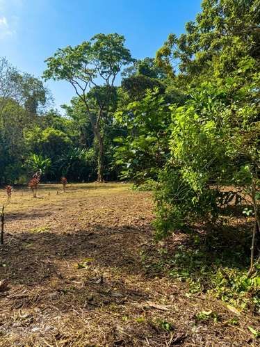 Se vende terreno de 3000 m² a 5 min de Puerto Vargas, Cahuita (PA)