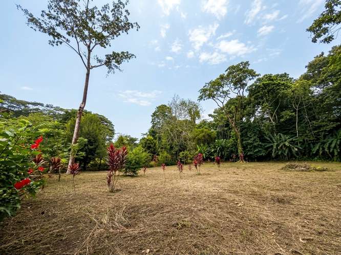 Land is sold from 3000 m ² to 5 min from Puerto Vargas, Cahuita (PA)