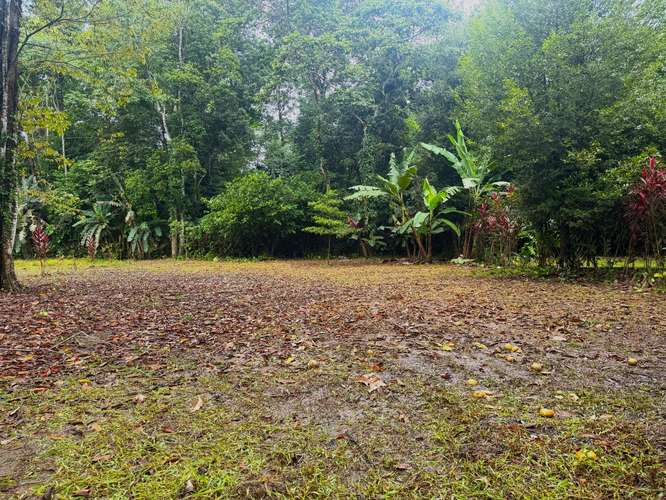 Se vende terreno de 3000 m² a 5 min de Puerto Vargas, Cahuita (PA)