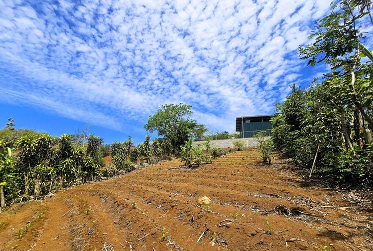 Lote de 448 m2 a la Venta en Zaragoza de Palmares, con Hermosas Vistas 