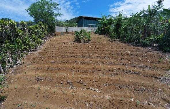 Lote de 448 m2 a la Venta en Zaragoza de Palmares, con Hermosas Vistas 