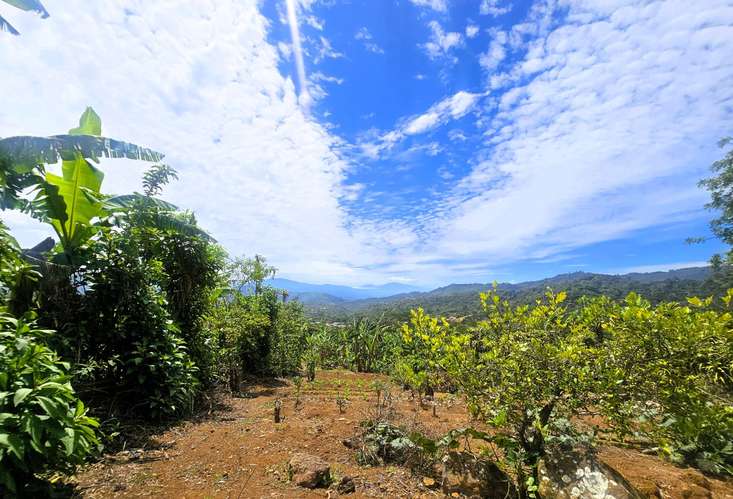 Lote de 448 m2 a la Venta en Zaragoza de Palmares, con Hermosas Vistas 