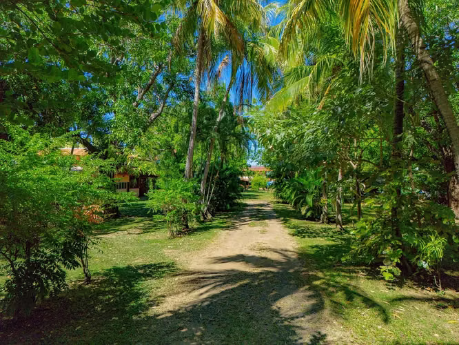 Mangos Beachfront | Propiedad frente al mar de 1.29 acres en Playas del Coco - Imagen 26