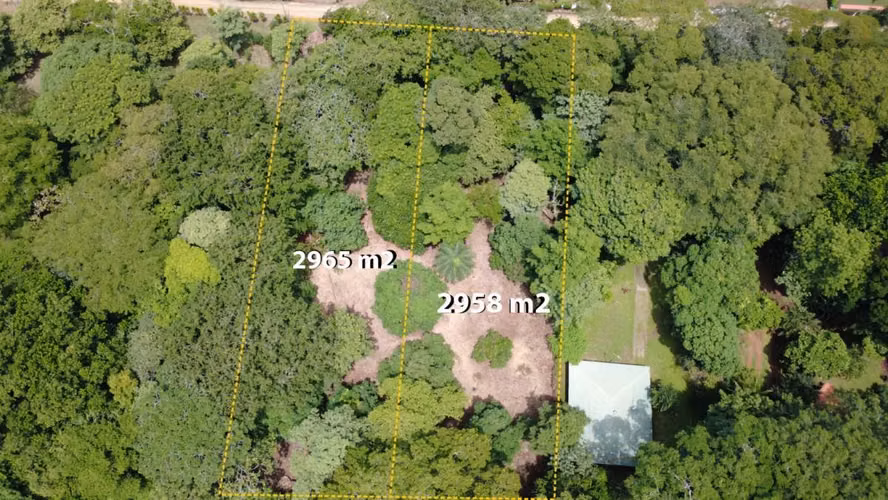 Venta de 2 lotes contiguos en San Mateo de Alajuela - Imagen 11