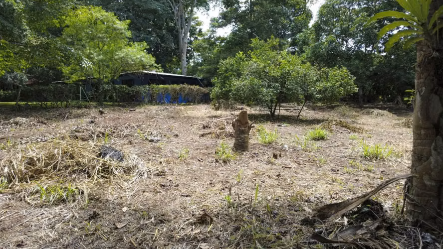Venta de 2 lotes contiguos en San Mateo de Alajuela - Imagen 2