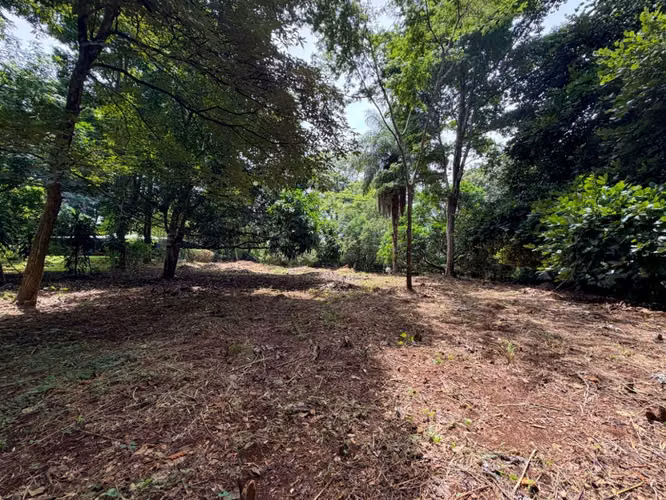 Venta de 2 lotes contiguos en San Mateo de Alajuela