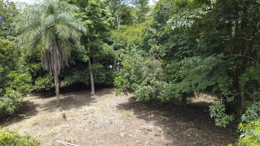 Venta de 2 lotes contiguos en San Mateo de Alajuela - Imagen 9
