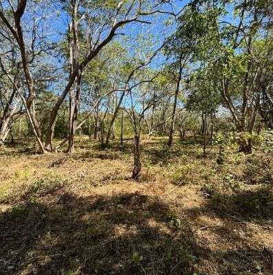 Venta de terreno en Playa Lagartillo, Santa Cruz, Guanacaste - Imagen 3