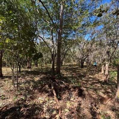 Venta de terreno en Playa Lagartillo, Santa Cruz, Guanacaste - Imagen 10