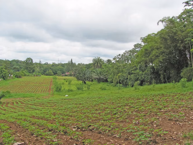 Finca de 3 Hectáreas con parte loteada, en La Virgen de Sarapiquí, Heredia