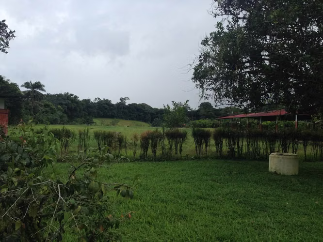 Finca de 3 Hectáreas con parte loteada, en La Virgen de Sarapiquí, Heredia