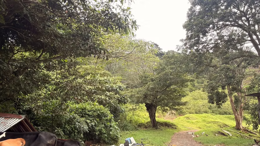 Lote en venta en Tres Rios -Excelente ubicacion  - Imagen 7