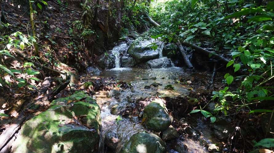 SE VENDE • PROPIEDAD ECOLÓGICA