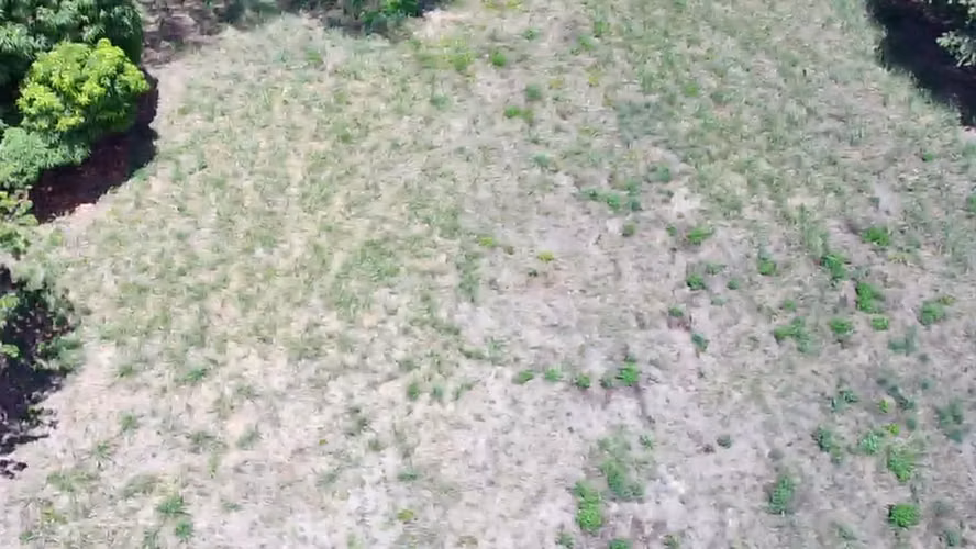Terreno en venta en Santa Cruz, Guanacaste | 1 hectárea y amplio frente a calle principal - Imagen 6
