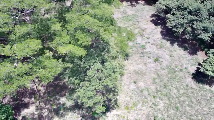 Terreno en venta en Santa Cruz, Guanacaste | 1 hectárea y amplio frente a calle principal - Imagen 3