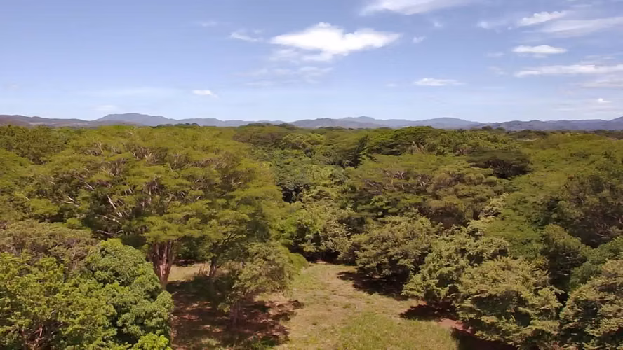 Terreno en venta en Santa Cruz, Guanacaste | 1 hectárea y amplio frente a calle principal - Imagen 2