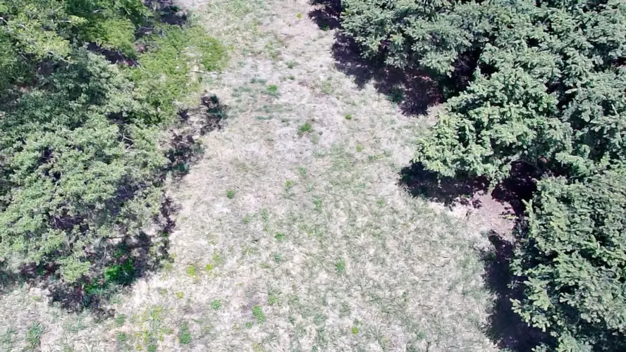 Terreno en venta en Santa Cruz, Guanacaste | 1 hectárea y amplio frente a calle principal - Imagen 5