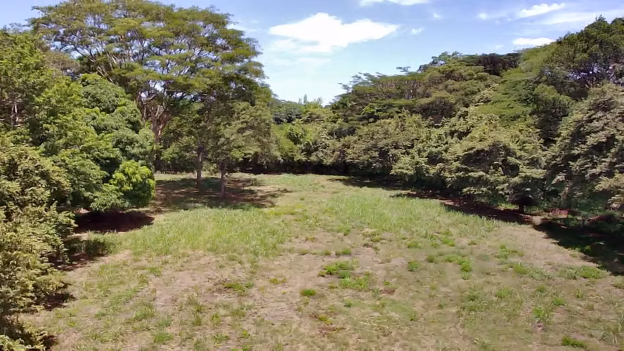 Terreno en venta en Santa Cruz, Guanacaste | 1 hectárea y amplio frente a calle principal
