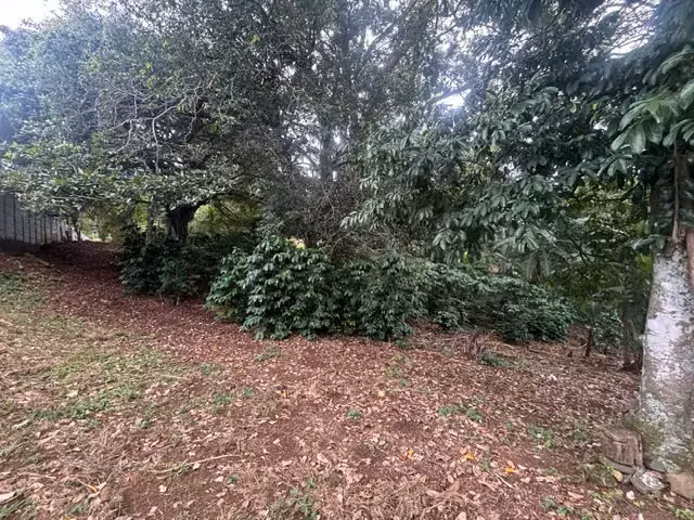 8223 m² Terreno en Atenas, Alajuela: Desarrollo Privado en Entorno Natural - Imagen 9