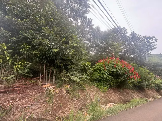8223 m² Terreno en Atenas, Alajuela: Desarrollo Privado en Entorno Natural - Imagen 2