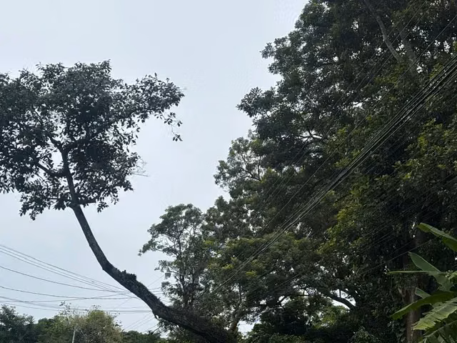8223 m² Terreno en Atenas, Alajuela: Desarrollo Privado en Entorno Natural - Imagen 4