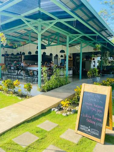 Restaurante y bar próspero con temática animal en Hermosa Playa | Proyecto comercial llave en mano
