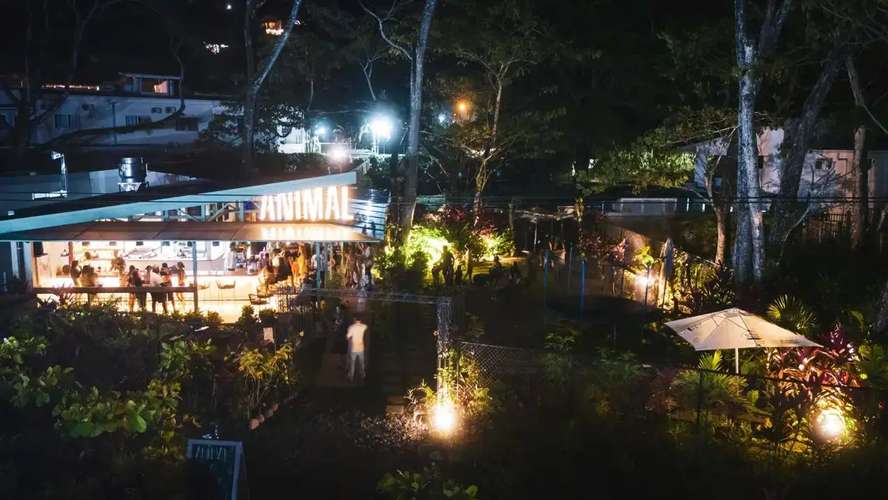 Restaurante y bar próspero con temática animal en Hermosa Playa | Proyecto comercial llave en mano