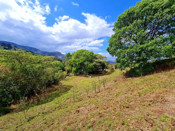 PROPIEDAD  EN SAN ANTONIO DE ESCAZÚ DE 9,208 m² VISTA AL VALLE, MONTAÑA, CON CASA PEQUEÑA, ARROYO Y NACIENTE - Imagen 13