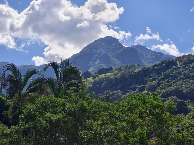 PROPIEDAD  EN SAN ANTONIO DE ESCAZÚ DE 9,208 m² VISTA AL VALLE, MONTAÑA, CON CASA PEQUEÑA, ARROYO Y NACIENTE - Imagen 8
