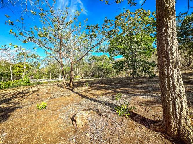 View lot in Santa Cruz
