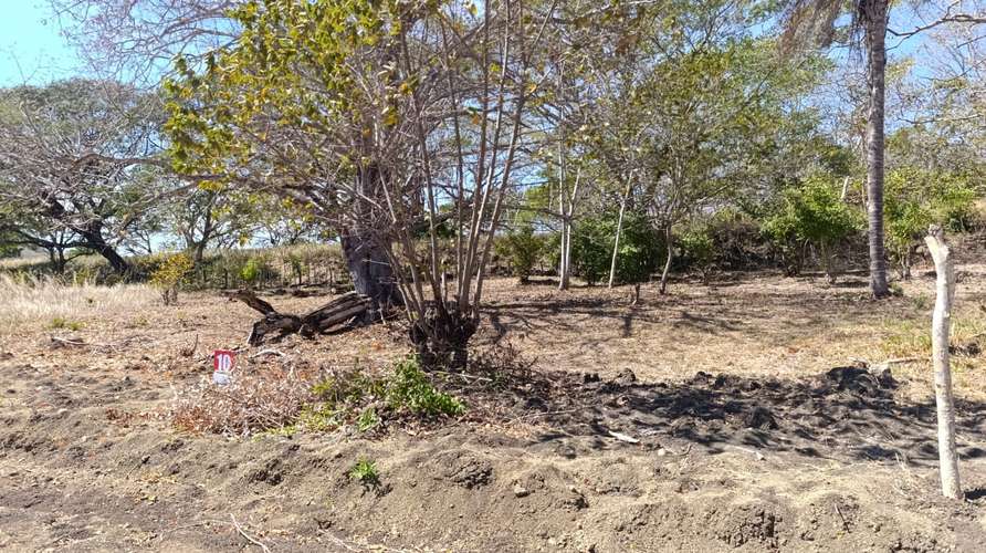 Lotes y Quintas en Hacienda Playa Blanca, Punta Morales, Puntarenas - Imagen 9